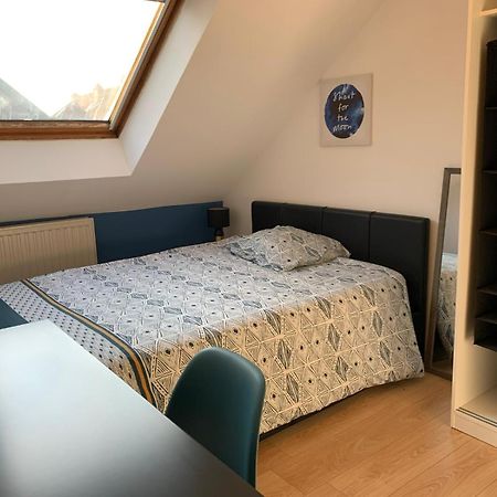 Duplex Du Lion Belfort Exterior foto